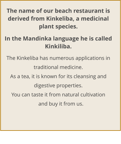 The name of our beach restaurant is derived from Kinkeliba, a medicinal plant species. In the Mandinka language he is called Kinkiliba. The Kinkeliba has numerous applications in traditional medicine. As a tea, it is known for its cleansing and digestive properties. You can taste it from natural cultivation            and buy it from us.